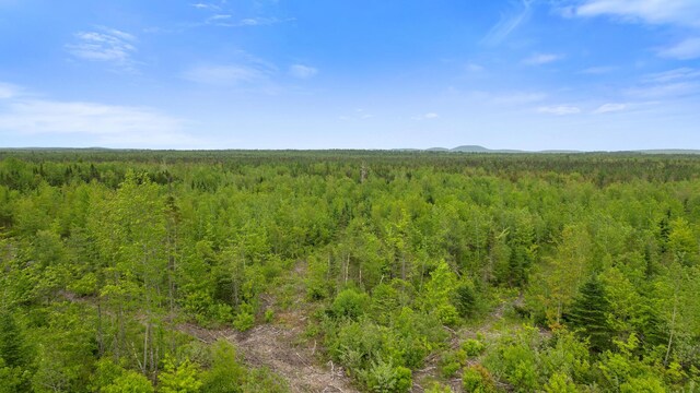 MAP8LOT10 Cardville Rd, Greenbush, ME 04418 - photo 10