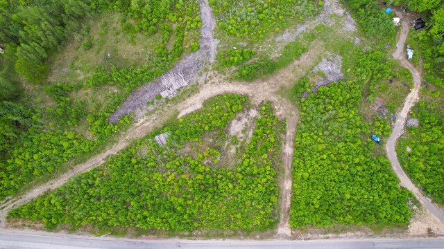 MAP8LOT10 Cardville Rd, Greenbush, ME 04418 - photo 3