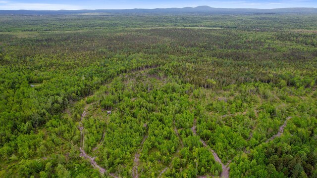 MAP8LOT10 Cardville Rd, Greenbush, ME 04418 - photo 12