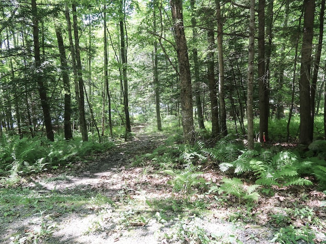 MAP105LT12 Main St, Readfield, ME 04355 - photo 15