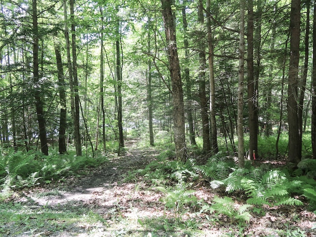 MAP105LT12 Main St, Readfield, ME 04355 - photo 17