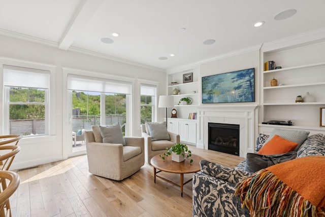 25 Benjamin Way, Portland, ME 04102 - living area featuring light wood-style flooring, a premium fireplace, crown molding, built in shelves, and recessed lighting