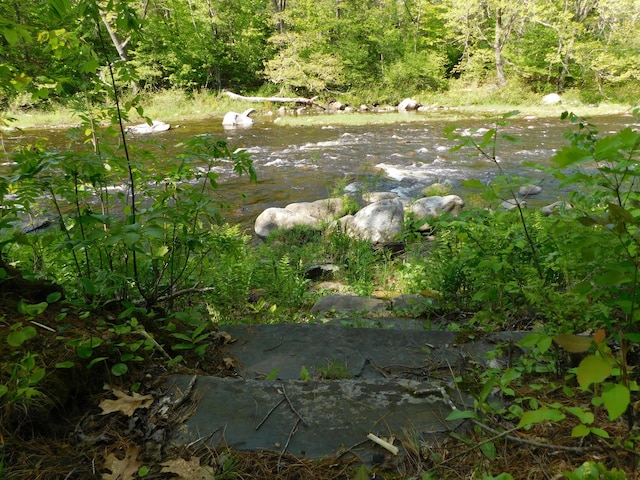 51 Pond Rd, Abbot, ME 04406 - view of yard featuring a wooded view