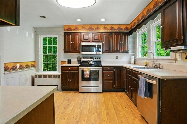 11 Pine Ave, Livermore Falls, ME 04254 - kitchen featuring stainless steel appliances, radiator, light wood-style floors, dark brown cabinetry, and wainscoting