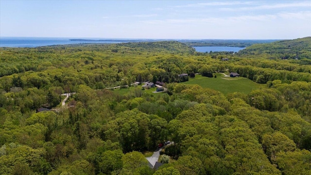 465 S St, Rockport, ME 04856 - aerial view of a forest and a nearby body of water