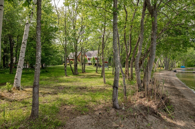 177 Meadow Ln, Smithfield, ME 04978 - view of grassy yard with view of wooded area