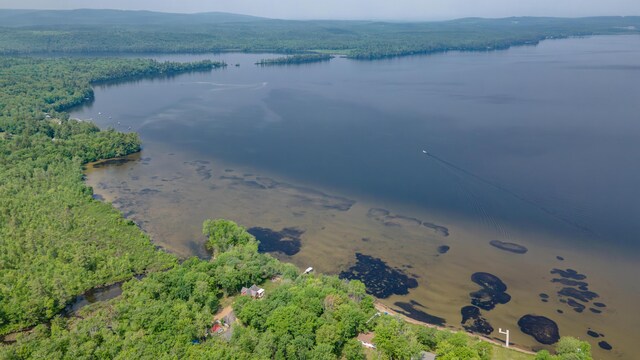 177 Meadow Ln, Smithfield, ME 04978 - aerial overview of property's location with a large body of water and a forest