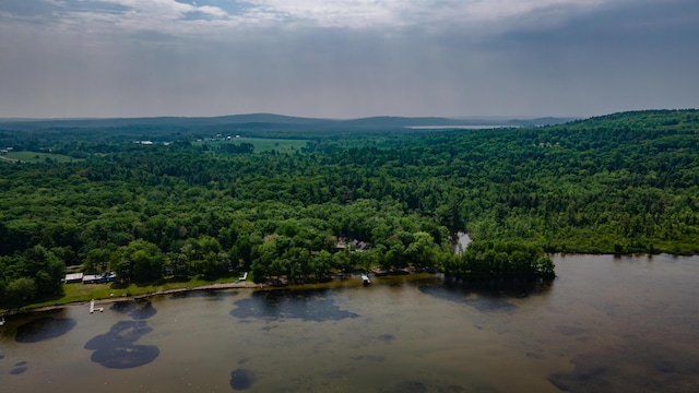 177 Meadow Ln, Smithfield, ME 04978 - drone / aerial view of a forest and a nearby body of water
