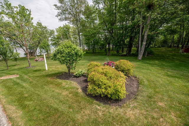 177 Meadow Ln, Smithfield, ME 04978 - view of green lawn