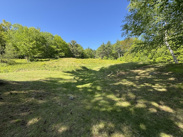 186 Bridgton Rd, Sebago, ME 04029 - view of yard with a view of trees