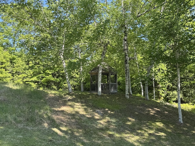 186 Bridgton Rd, Sebago, ME 04029 - view of undeveloped land