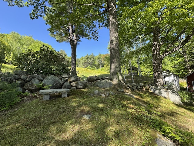 186 Bridgton Rd, Sebago, ME 04029 - view of yard featuring a storage shed