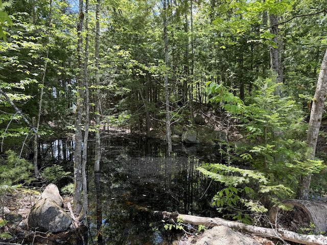 LOT1 Naples Rd, Harrison, ME 04040 - photo 4