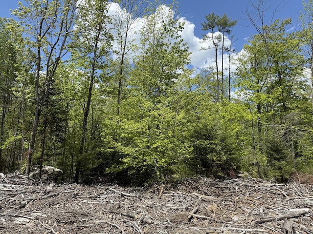 LOT1 Naples Rd, Harrison, ME 04040 - photo 3