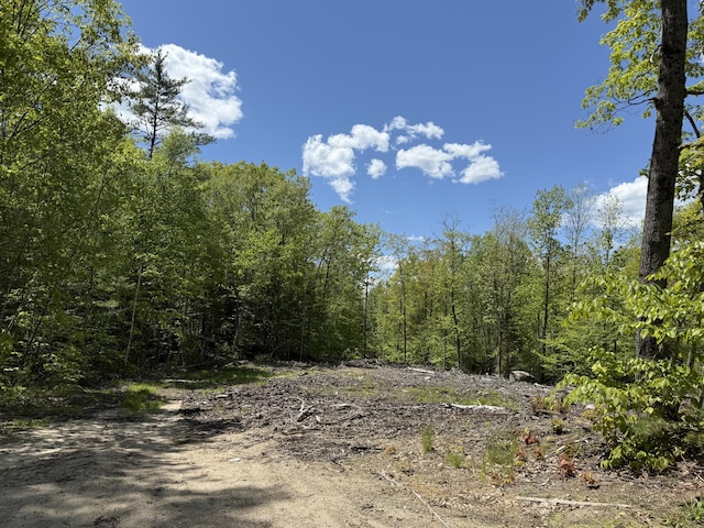 LOT1 Naples Rd, Harrison, ME 04040 - photo 1