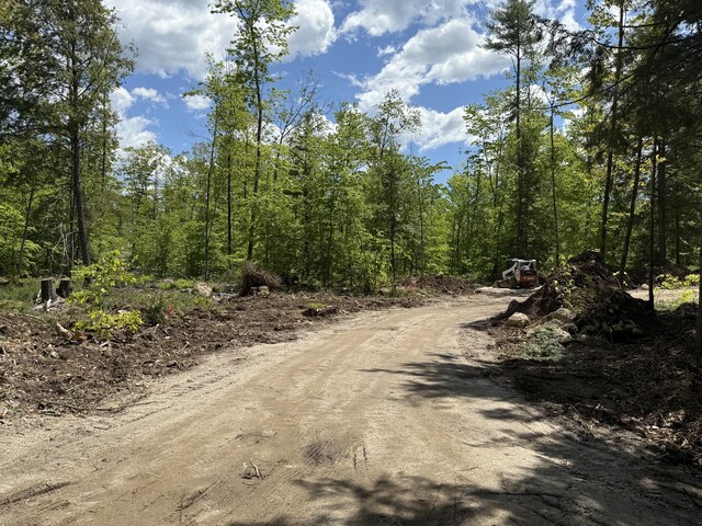 LOT4 Rocky Point Rd, Harrison, ME 04040 - photo 3