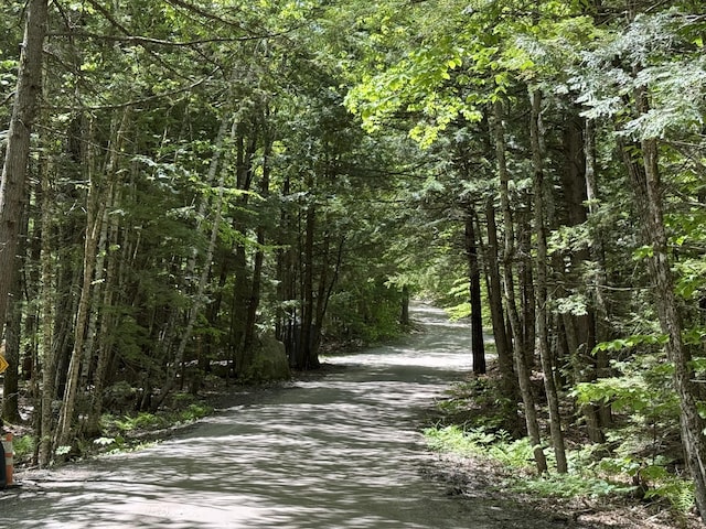 LOT4 Rocky Point Rd, Harrison, ME 04040 - photo 1