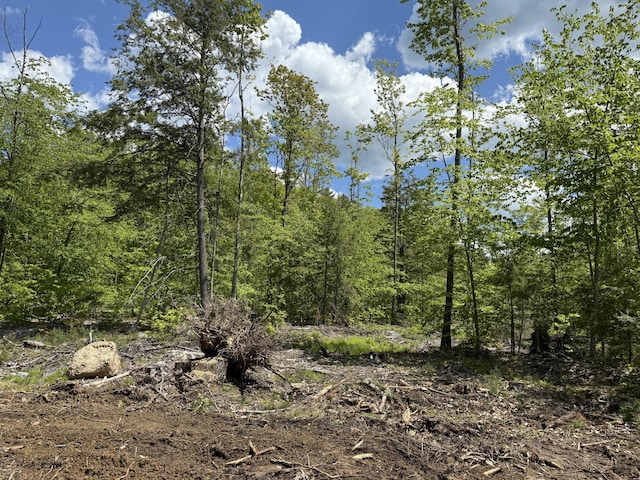 LOT4 Rocky Point Rd, Harrison, ME 04040 - photo 4
