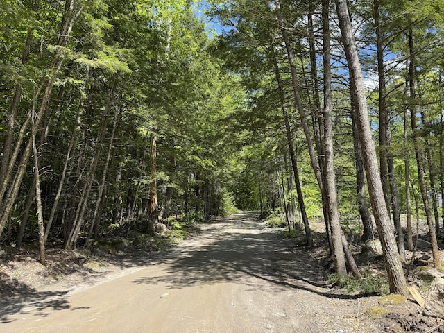 LOT4 Rocky Point Rd, Harrison, ME 04040 - photo 2