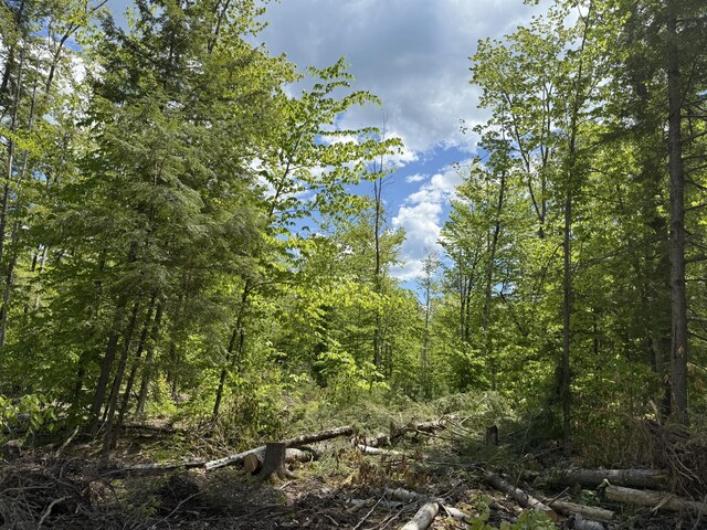 LOT4 Rocky Point Rd, Harrison, ME 04040 - photo 5