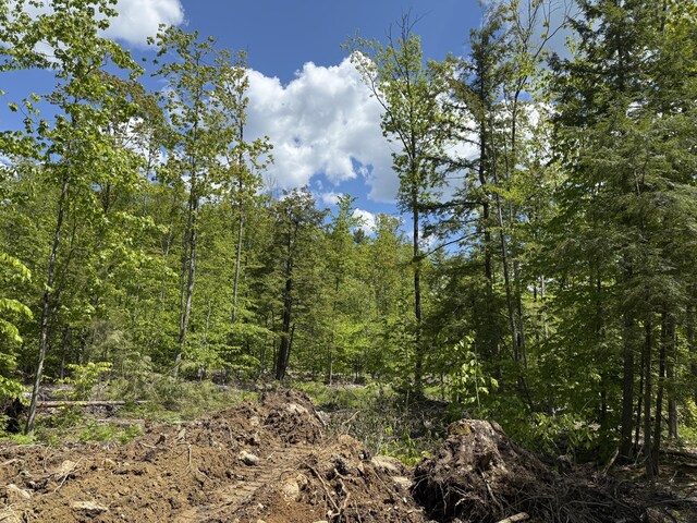 LOT4 Rocky Point Rd, Harrison, ME 04040 - photo 6