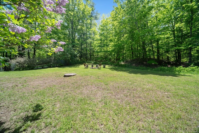 3 Wilson Ln, Saco, ME 04072 - view of green lawn