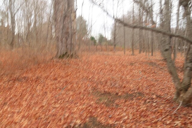 226 Pond Rd, Manchester, ME 04351 - photo 5