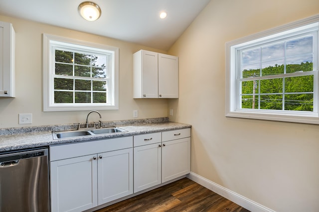 711 Newfield Rd, Shapleigh, ME 04076 - kitchen with stainless steel dishwasher, a sink, dark wood finished floors, healthy amount of natural light, and vaulted ceiling