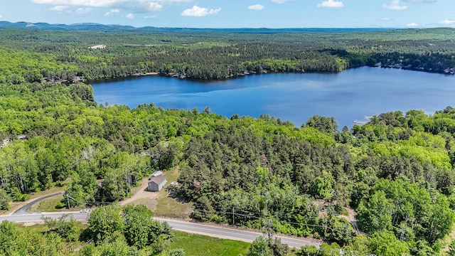 711 Newfield Rd, Shapleigh, ME 04076 - bird's eye view of a heavily wooded area and a large body of water