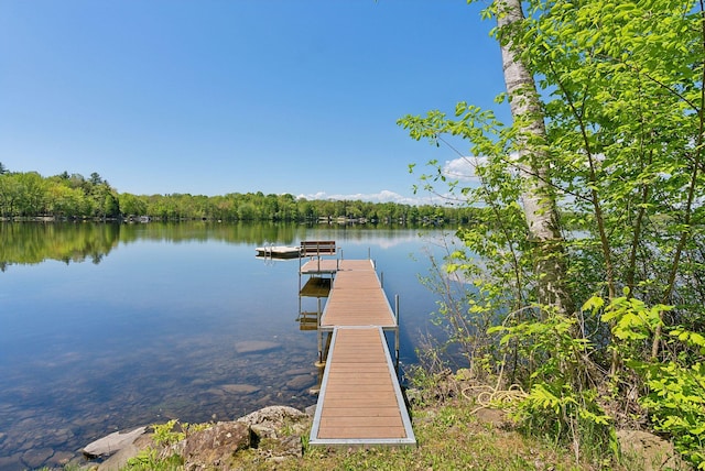 80 Hart St, Newport, ME 04953 - dock area featuring a water view and a wooded view