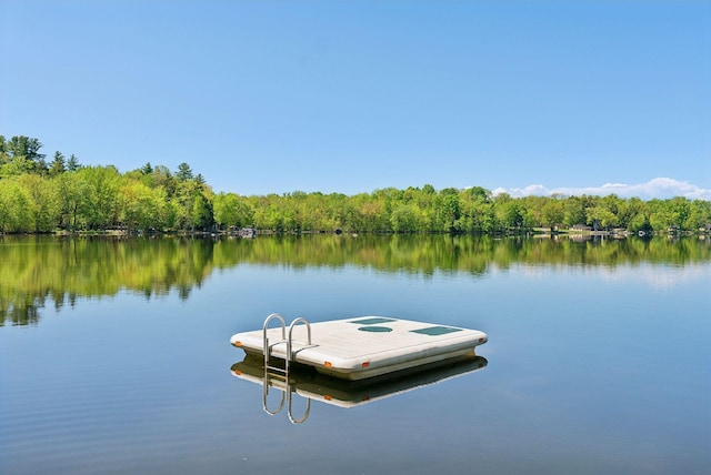 80 Hart St, Newport, ME 04953 - dock featuring a water view and a wooded view