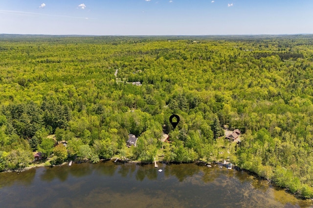 80 Hart St, Newport, ME 04953 - view of property location with a heavily wooded area and a nearby body of water