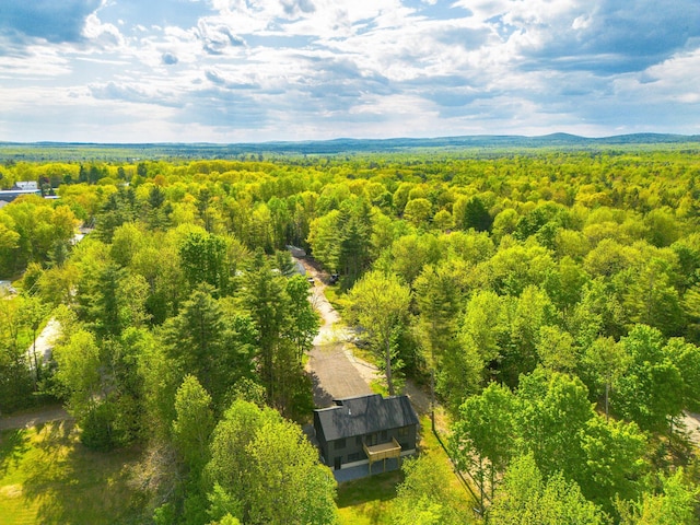 734 Main Rd, Charleston, ME 04422 - drone / aerial view of a heavily wooded area