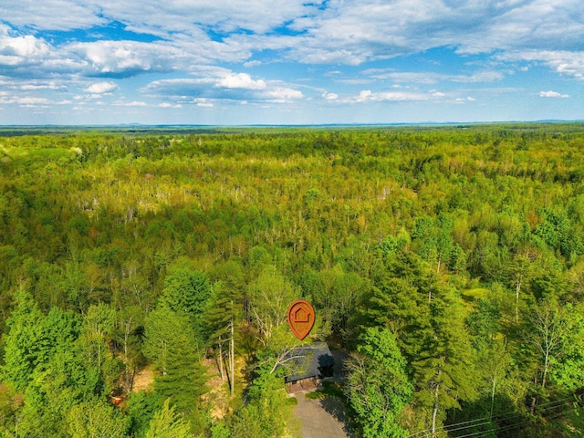 734 Main Rd, Charleston, ME 04422 - bird's eye view of a heavily wooded area