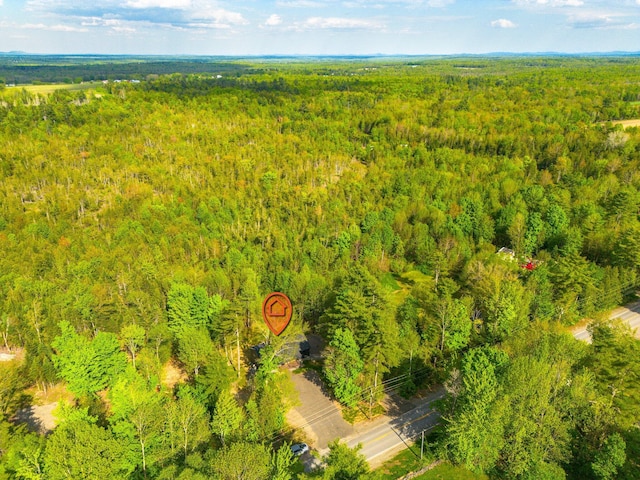 734 Main Rd, Charleston, ME 04422 - drone / aerial view of a forest