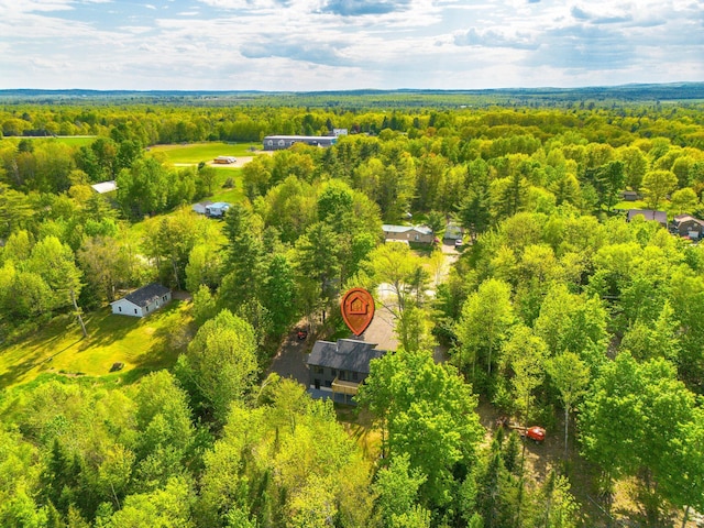 734 Main Rd, Charleston, ME 04422 - aerial view of a forest