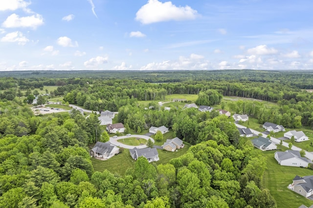 8 Macintosh Ln, Lewiston, ME 04240 - aerial view of a forest