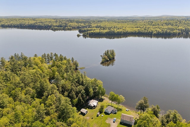 193 Park Ln, Windsor, ME 04363 - bird's eye view of a heavily wooded area and a nearby body of water