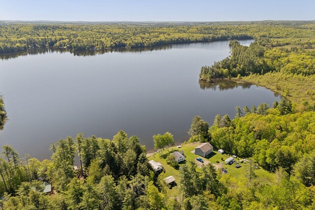 193 Park Ln, Windsor, ME 04363 - aerial view of a forest and a large body of water