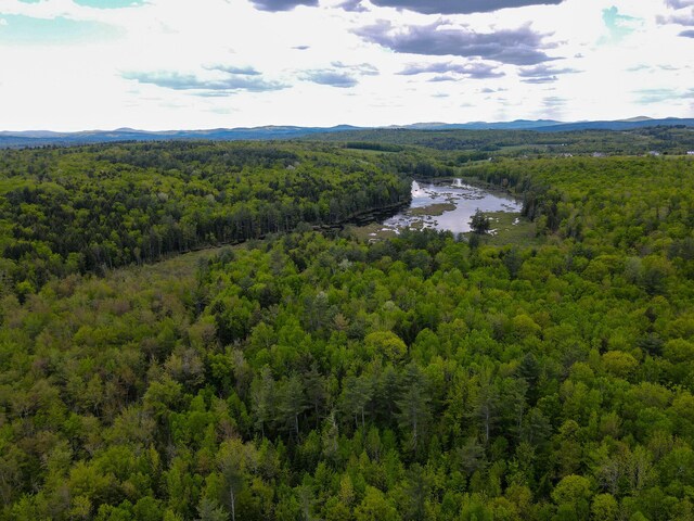 856 Weeks Mills Rd, New Sharon, ME 04955 - bird's eye view of a forest and a nearby body of water