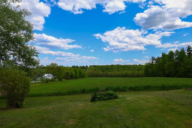 856 Weeks Mills Rd, New Sharon, ME 04955 - view of green lawn with a wooded view