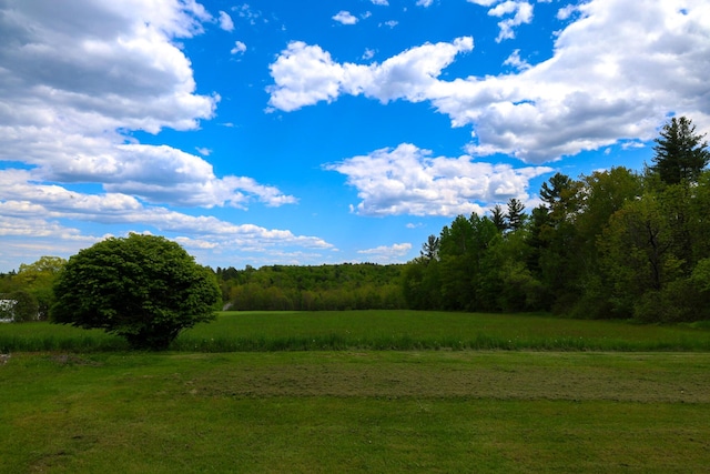 856 Weeks Mills Rd, New Sharon, ME 04955 - view of tree filled area
