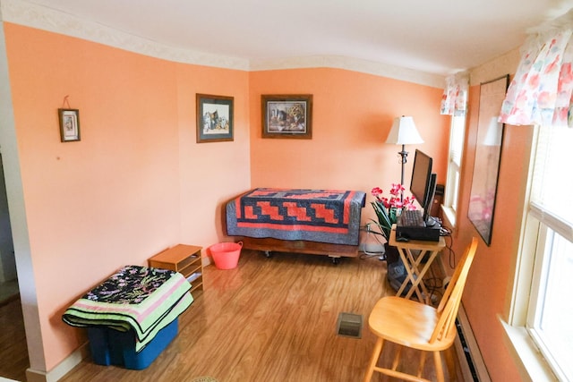 856 Weeks Mills Rd, New Sharon, ME 04955 - living room featuring wood finished floors