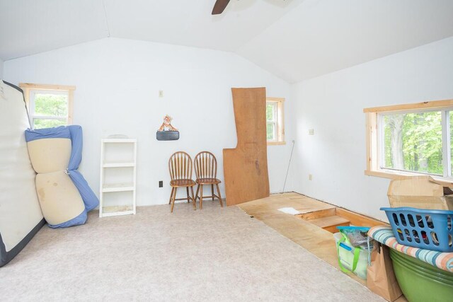 558 Temple Rd, Wilton, ME 04294
