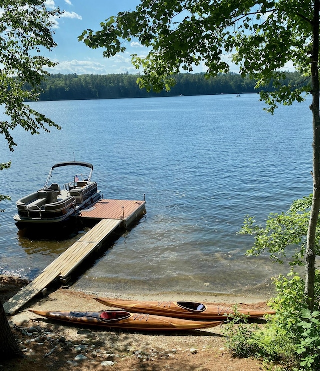 12B Trues Point Rd, New Gloucester, ME 04260 - dock with a water view