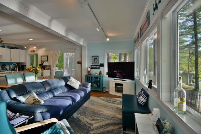 12B Trues Point Rd, New Gloucester, ME 04260 - living room featuring rail lighting, healthy amount of natural light, wood finished floors, and ornamental molding