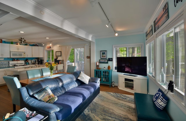 12B Trues Point Rd, New Gloucester, ME 04260 - living area featuring rail lighting, wood finished floors, ceiling fan, and crown molding