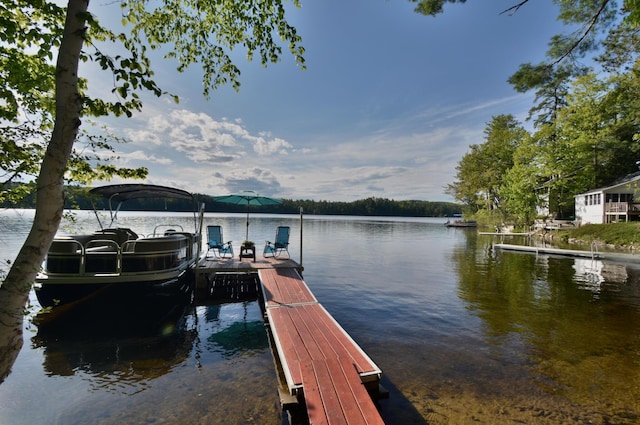 12B Trues Point Rd, New Gloucester, ME 04260 - dock with a water view