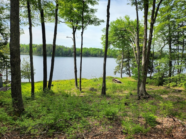 75 Snow Goose Ln, Dexter, ME 04930 - water view