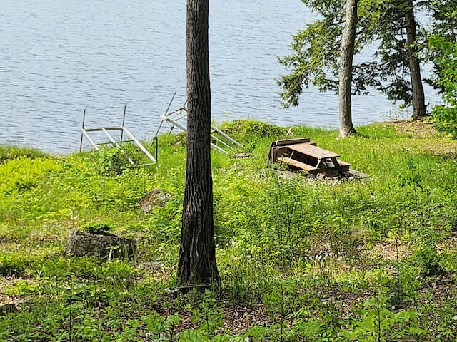 75 Snow Goose Ln, Dexter, ME 04930 - water view